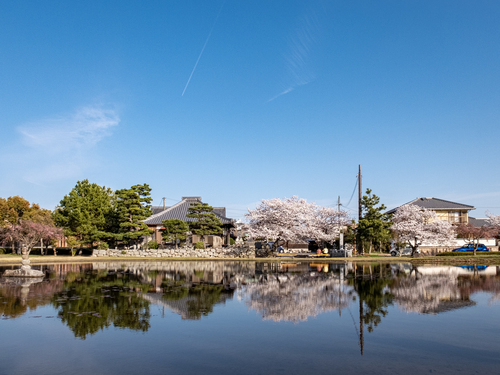 森田英一の観光Web写真のサンプル